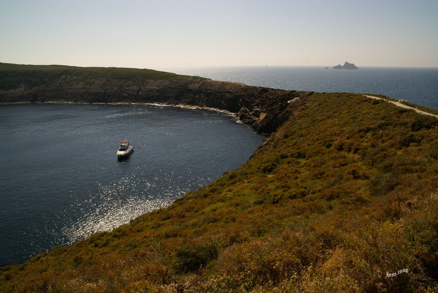 Vegetación Islas Columbretes